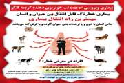 فرآورده های خام دامی تولیدی خارج از کشتارگاه مورد تایید دامپزشکی نیست